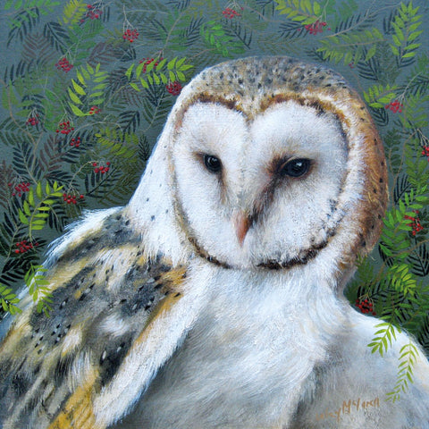 Art greeting card by Lesley McLaren. A close up of a Barn Owl with green leaves and red berries.