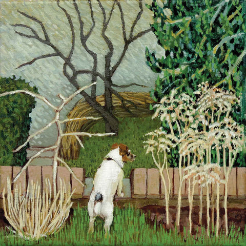 Art greeting card by Ann McCay, A little dog looking out over the garden fence