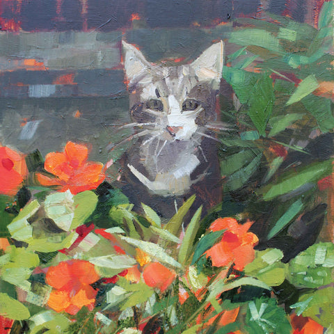 Louis in the Nasturtiums by Anne-Marie Butlin, Fine Art Greeting Card, Oil, Cat in the nasturtiums