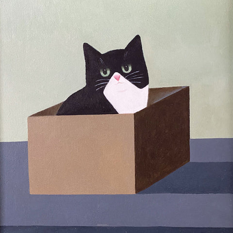 Black and white cat sitting in a cardboard box.