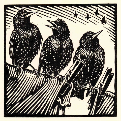 Art Greeting Card by Richard Allen, Starlings, Linocut, Three starlings on washing line