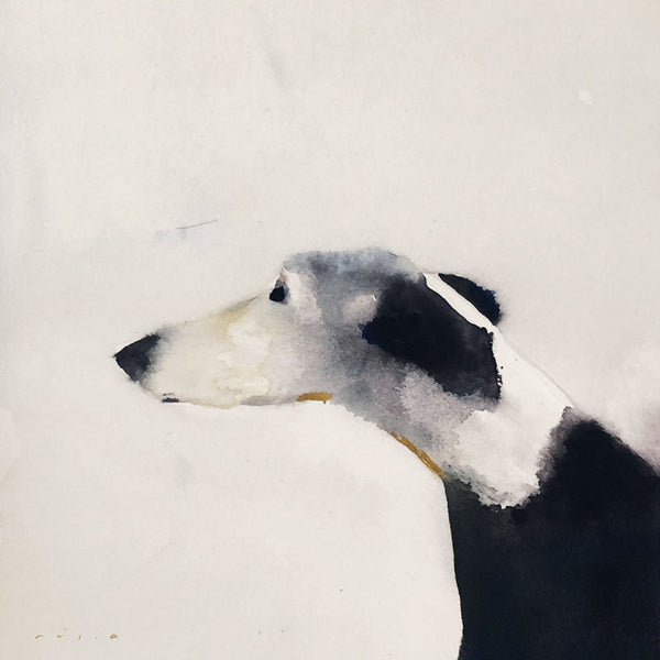 Dogs