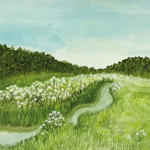 Art greeting card by Ella Hazelden. River running through a green meadow.