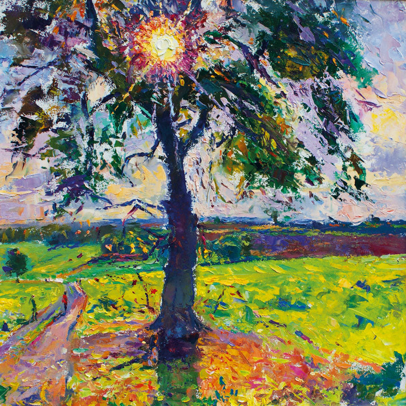 FA001 Autumn Sunrise