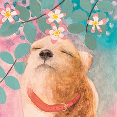 GY005 Dog Rose