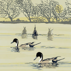 Art greeting card by Max Angus. Five ducks on a pond, three with their bottoms up and he other two in the forground.