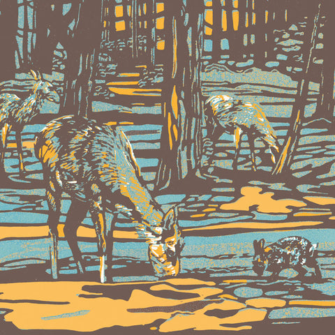 Art greeting card by Max Angus. Deer grazing in the woods.