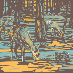 Art greeting card by Max Angus. Deer grazing in the woods.