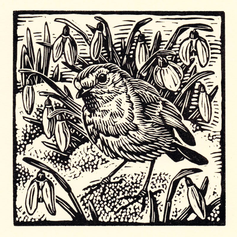 Art Greeting Card by Richard Allen, Linocut of Robin with snowdrops