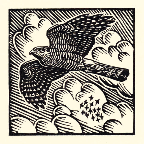 Art Greeting Card by Richard Allen, Linocut of Sparrowhawk in flight with starlings