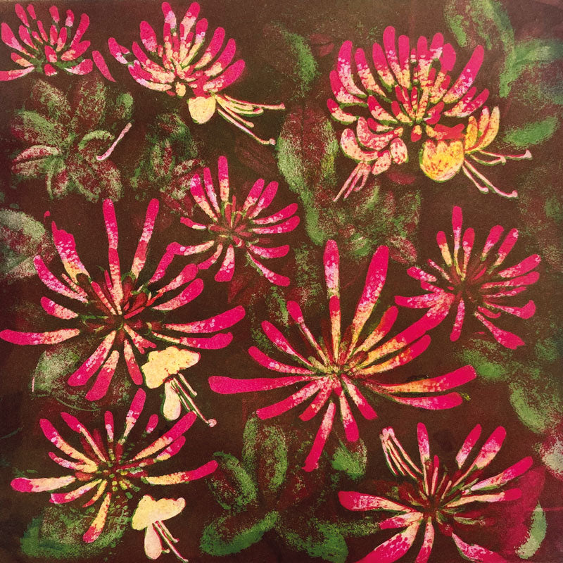 Art greeting card by Susie Perring. Pink Honeysuckle.