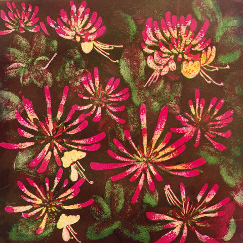 Art greeting card by Susie Perring. Pink Honeysuckle.