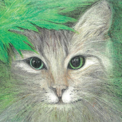 ASB05 Starey Cat - Charity Card