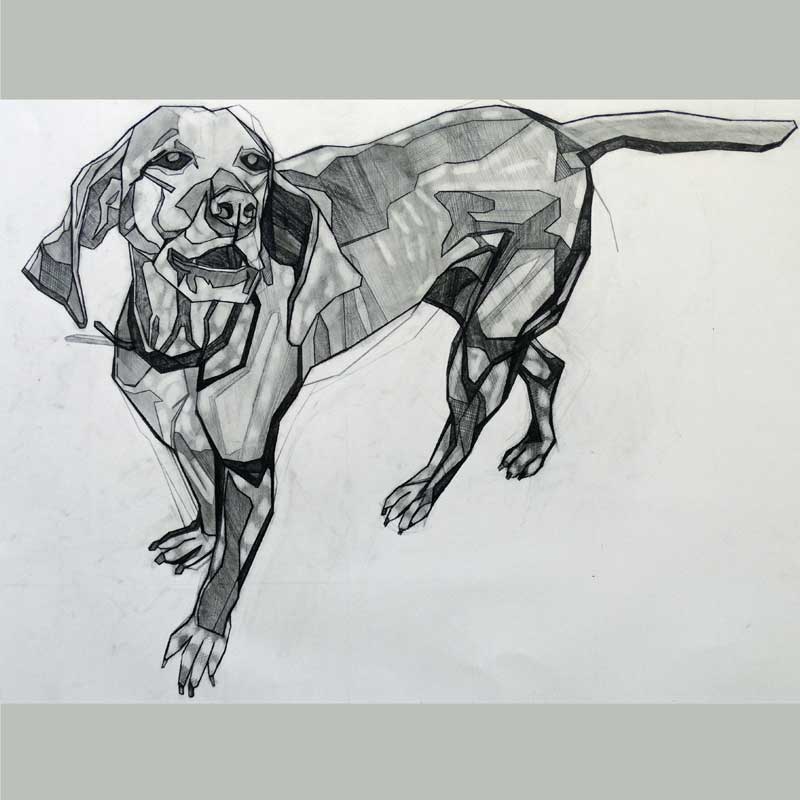Art Greeting Card by Emily Beza, Charcoal drawing of Vizsla dog