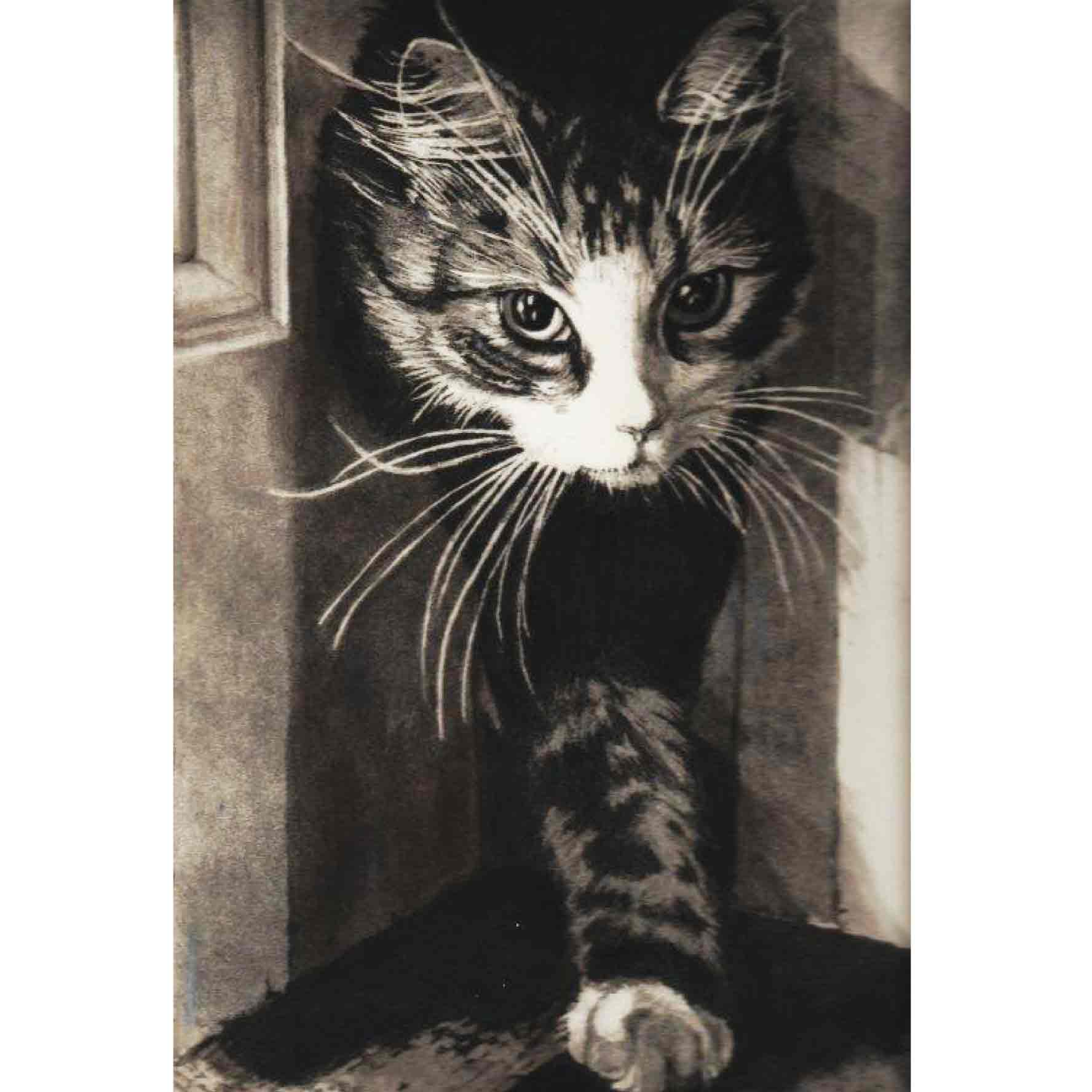 Fine Art Greeting Card by Barbara Jackson, Etching, Cat coming in through doorway