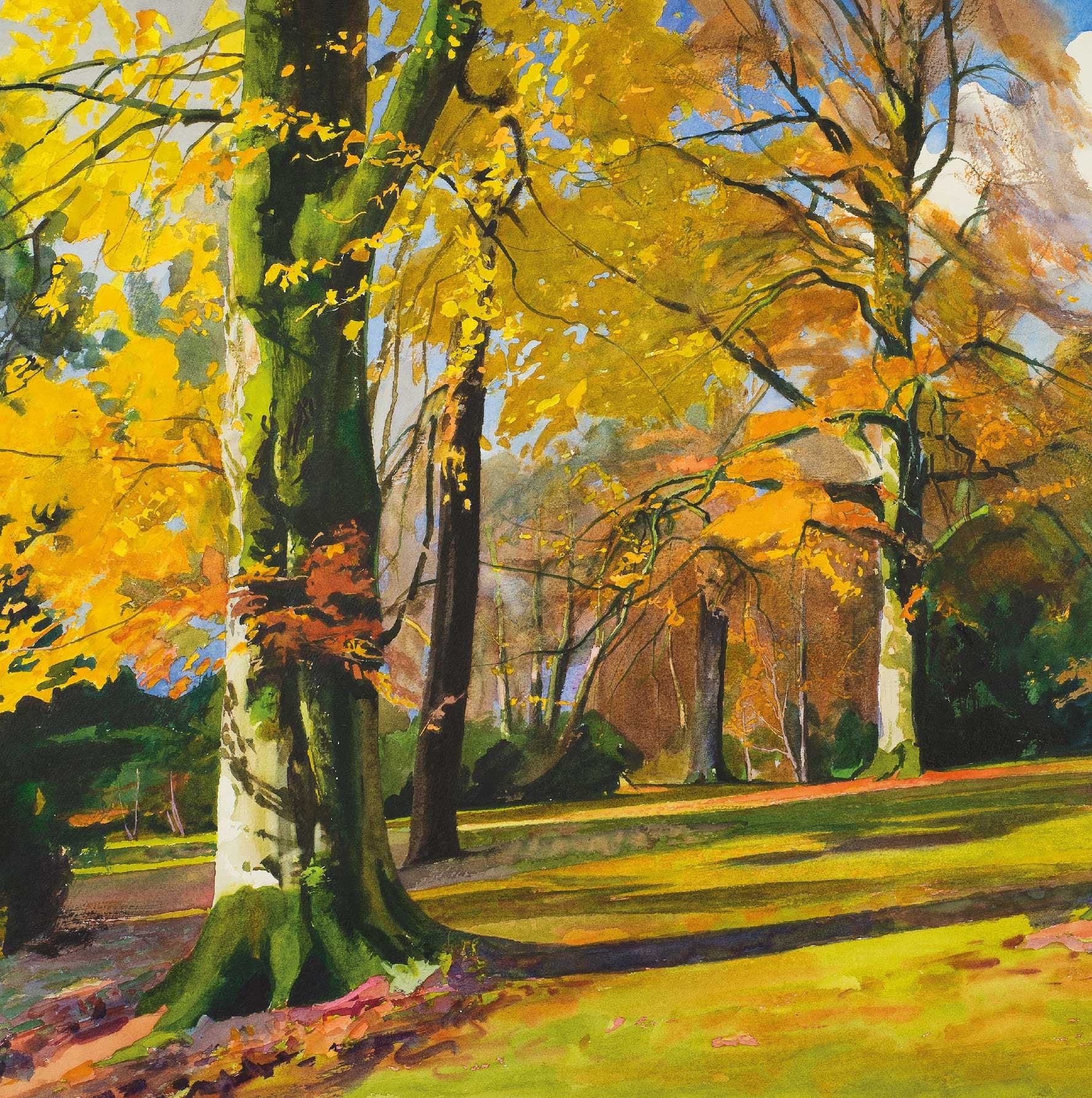 Fine Art Greeting Card, Autumn trees