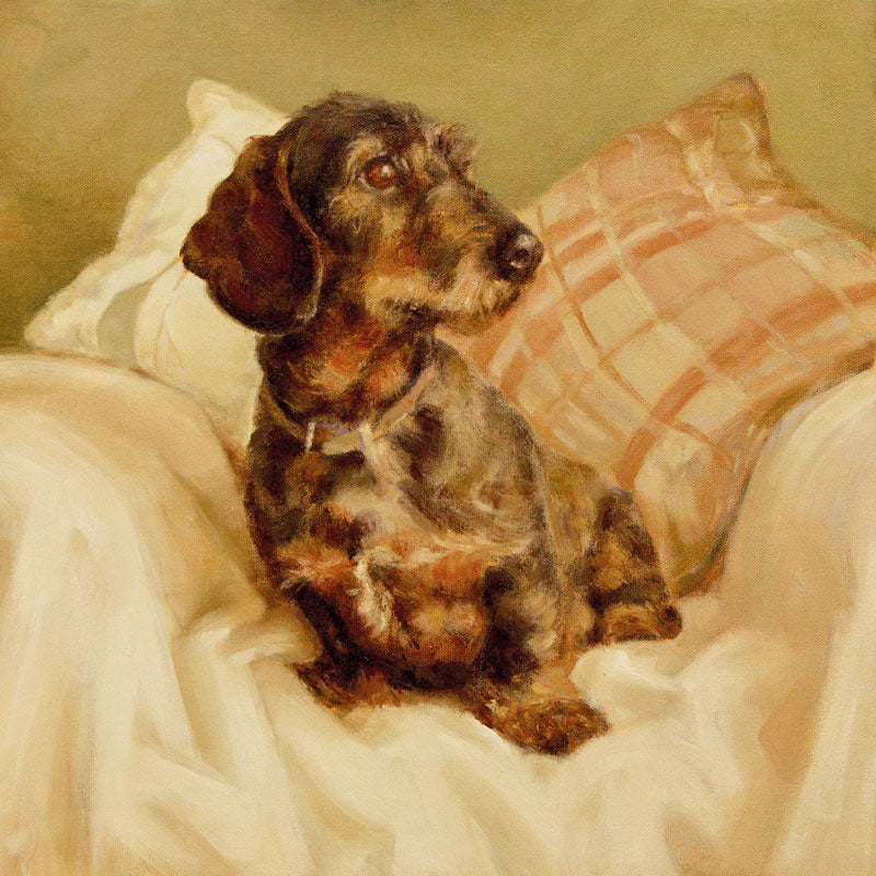 Art greeting card, oil painting of a small brown dog on a chair.
