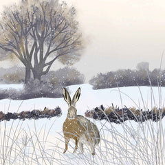 XCVM08 Homeward Bound - Christmas Pack
