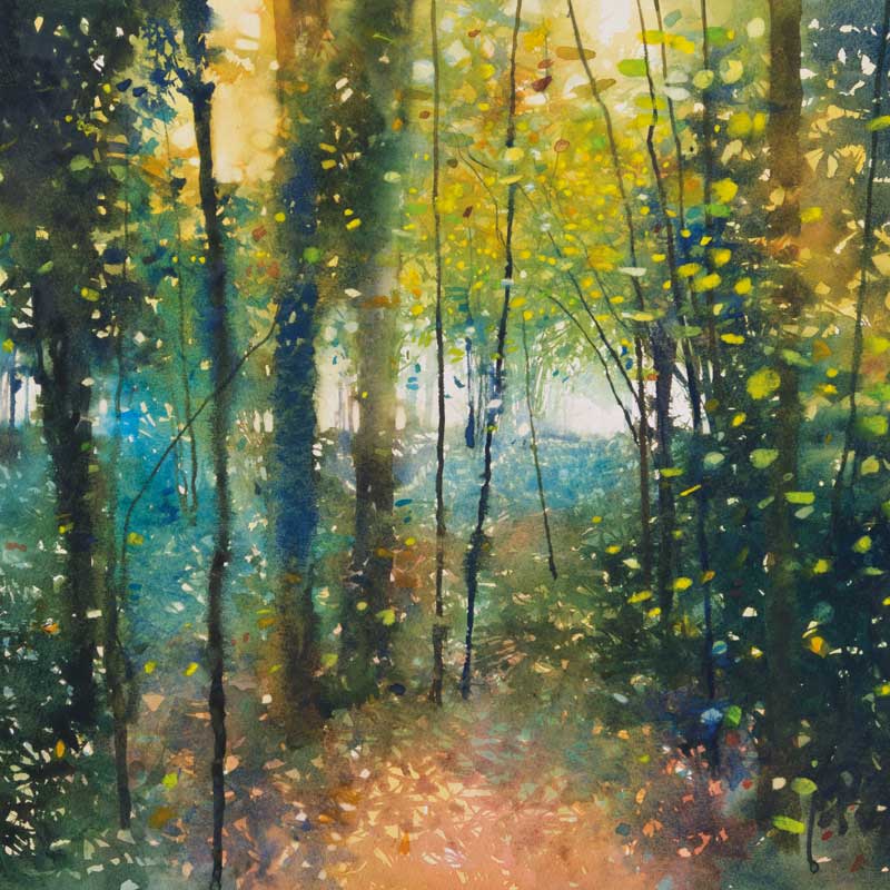 Art Greeting Card by David Parfitt, watercolour painting, spring/summer woodland walk