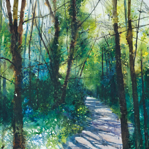 Narrow pathway through woods with shades of green and light shining through the trees.