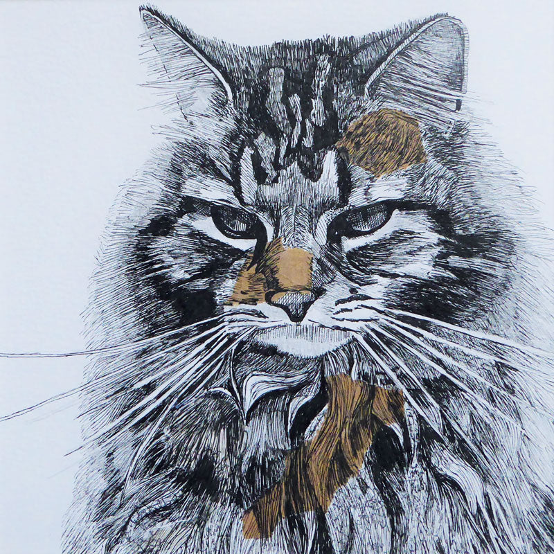 Art greeting card, ink drawing of a tabby cat.
