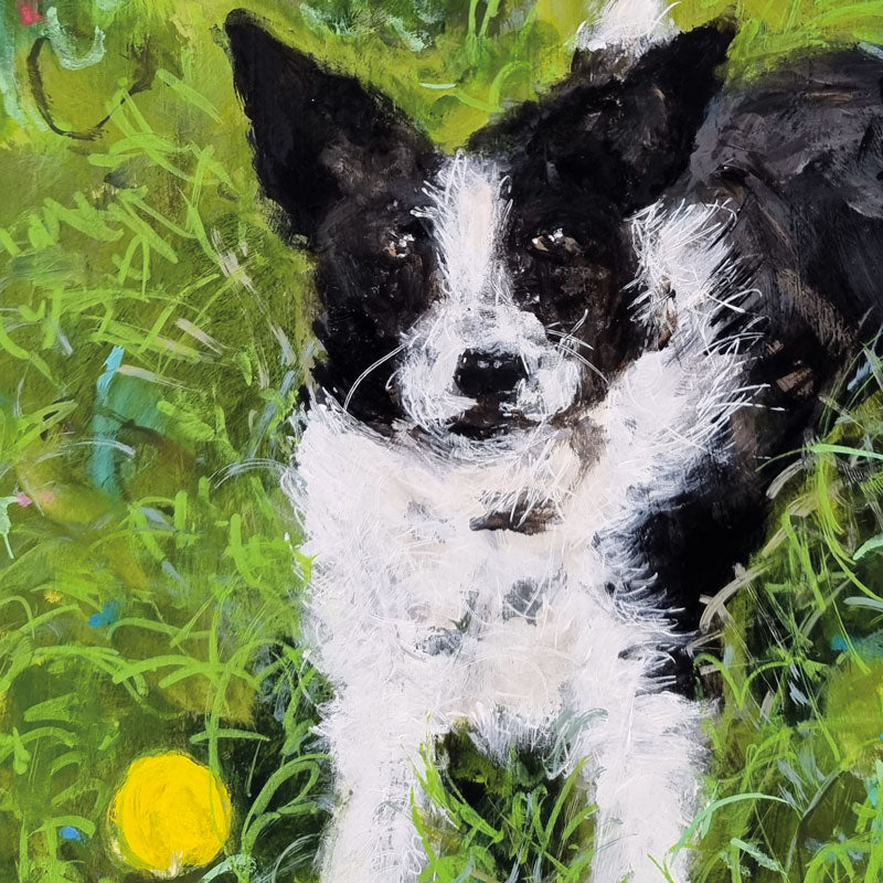 Art greeting card by Jenny Handley. Black and white dog lying on green grass with a yellow ball next to him.