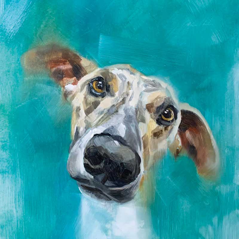 Art Greeting Card by Julie Brunn, Oil painting of a whippet's face on teal background