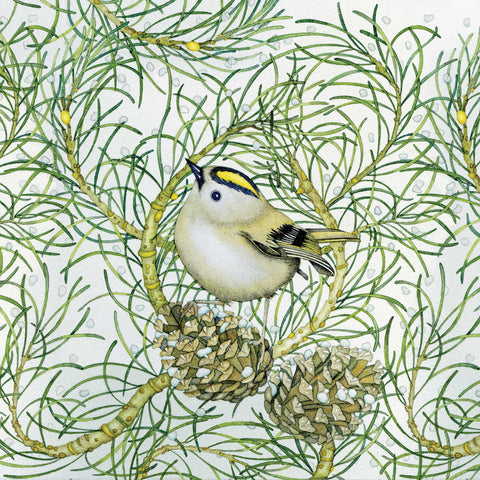 Goldcrest by Kate Green, Art Greeting Card, Mixed Media, Goldcrest
