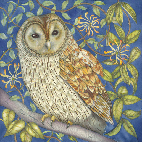 Tawny Owl in the Honeysuckle by Kate Green, Art Greeting Card, Mixed Media, Tawny owl sitting on branch