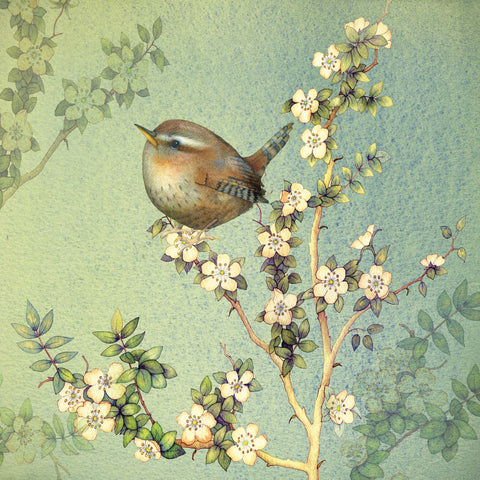 Tiny Wren by Kate Green, Art Greeting Card, Mixed Media, A tiny wren on blossom branch