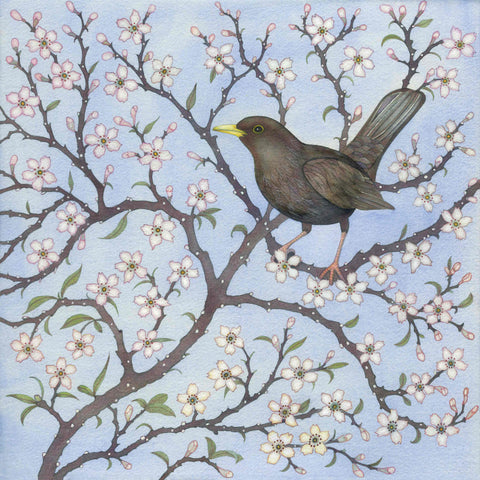 Fine Art Greeting Card by Kate Green, Mixed Media, Blackbird in the blossom