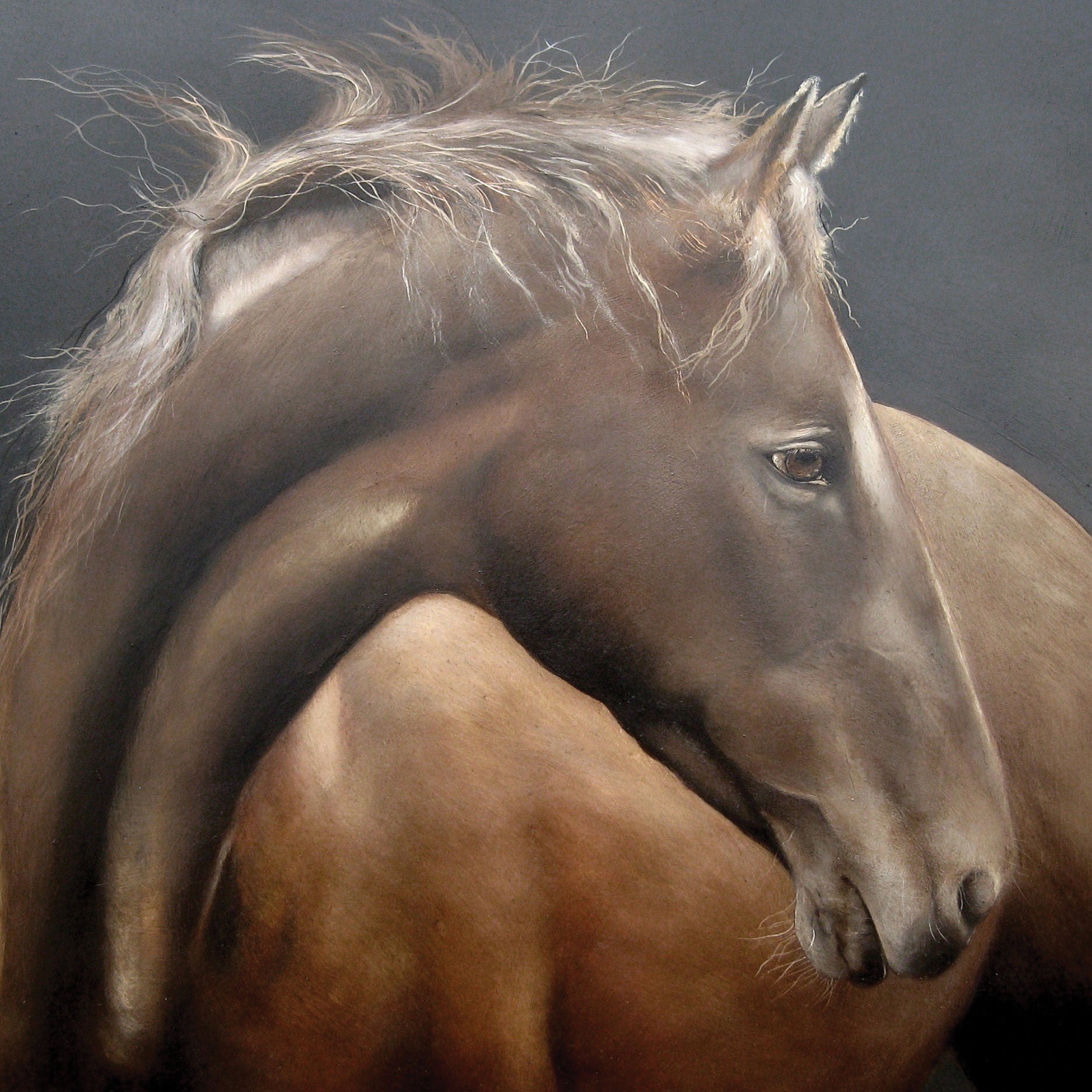 Gentle Horse by Lesley McLaren, Fine Art Greeting Card, Oil on Gesso Panel, Brown horse