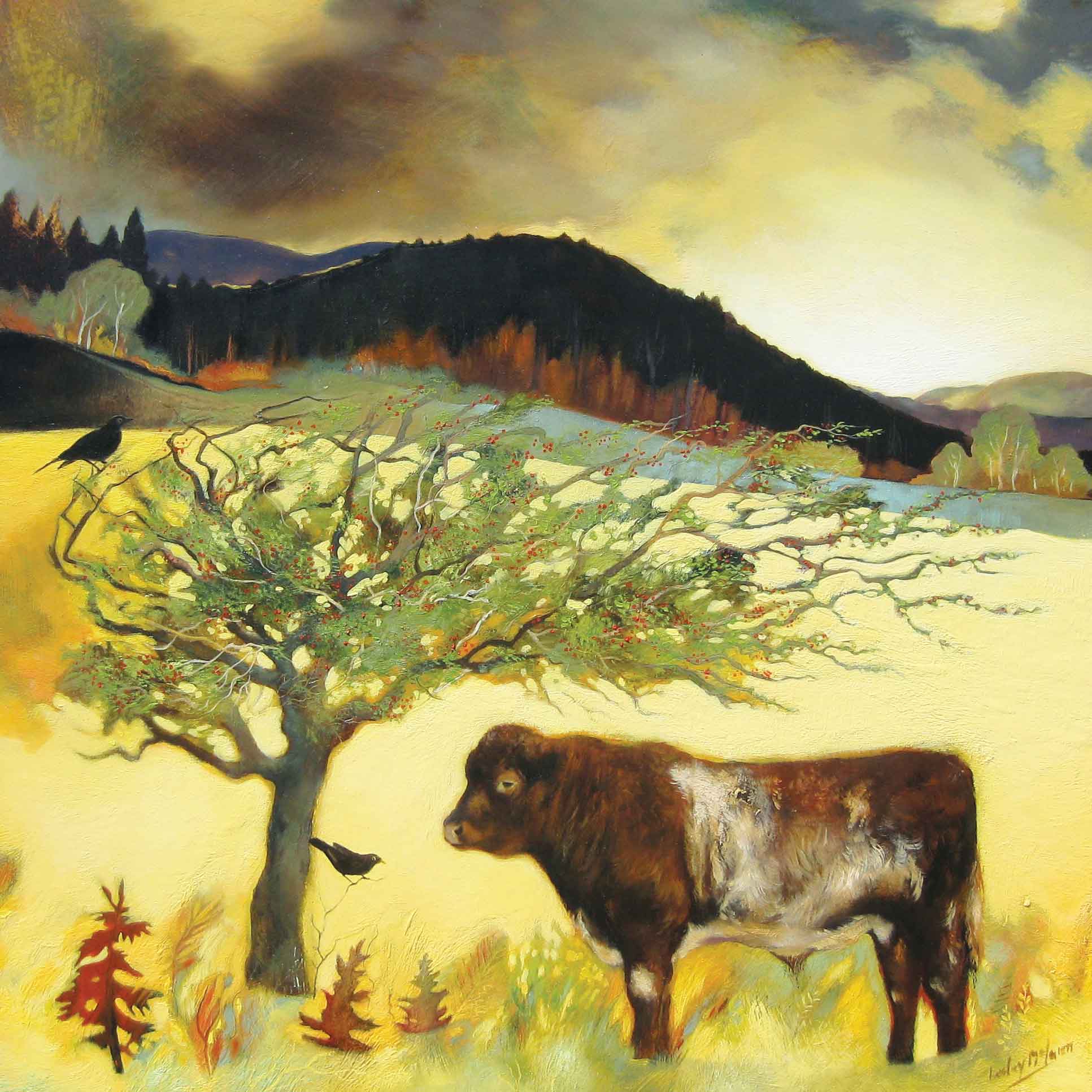 Shorthorn under a Hawthorn by Lesley McLaren, Fine Art Greeting Card, Oil, Bull under a tree