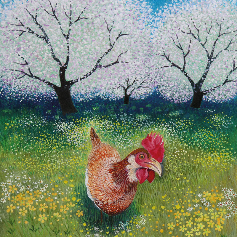Close up of a hen in a meadow with buttercups and blossom trees.