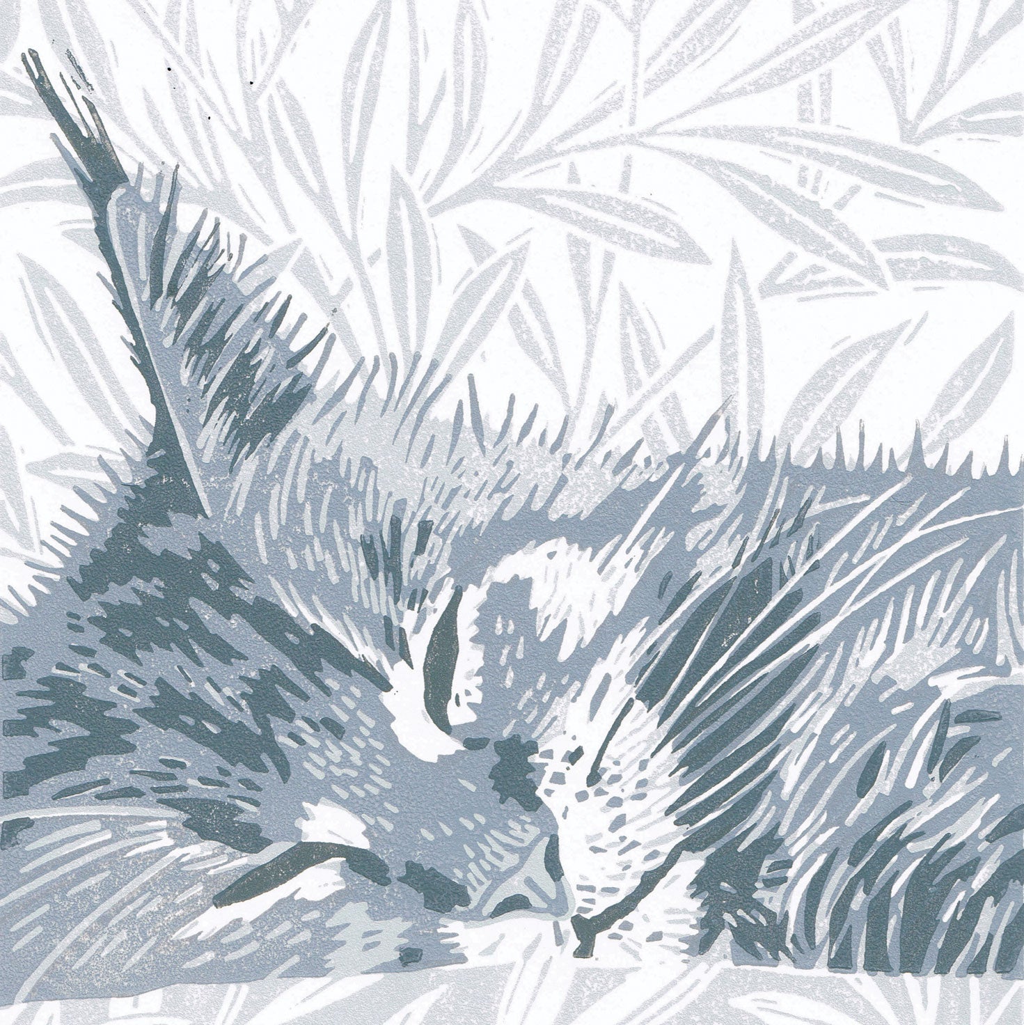 Grey Maine Coon Cat by Little Ram Studio, Art Greeting Card, Linocut, Maine Coon cat dozing on pillow