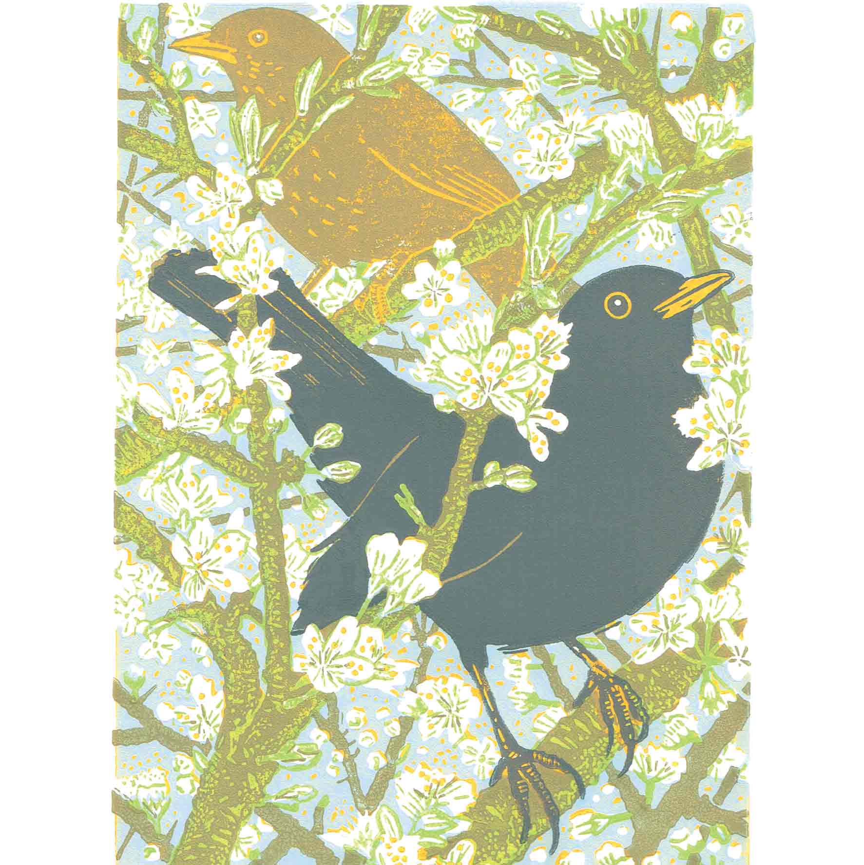 Art Greeting Card by Gary Ramskill, Blackthorn and Blackbirds, Two blackbirds in the blossom
