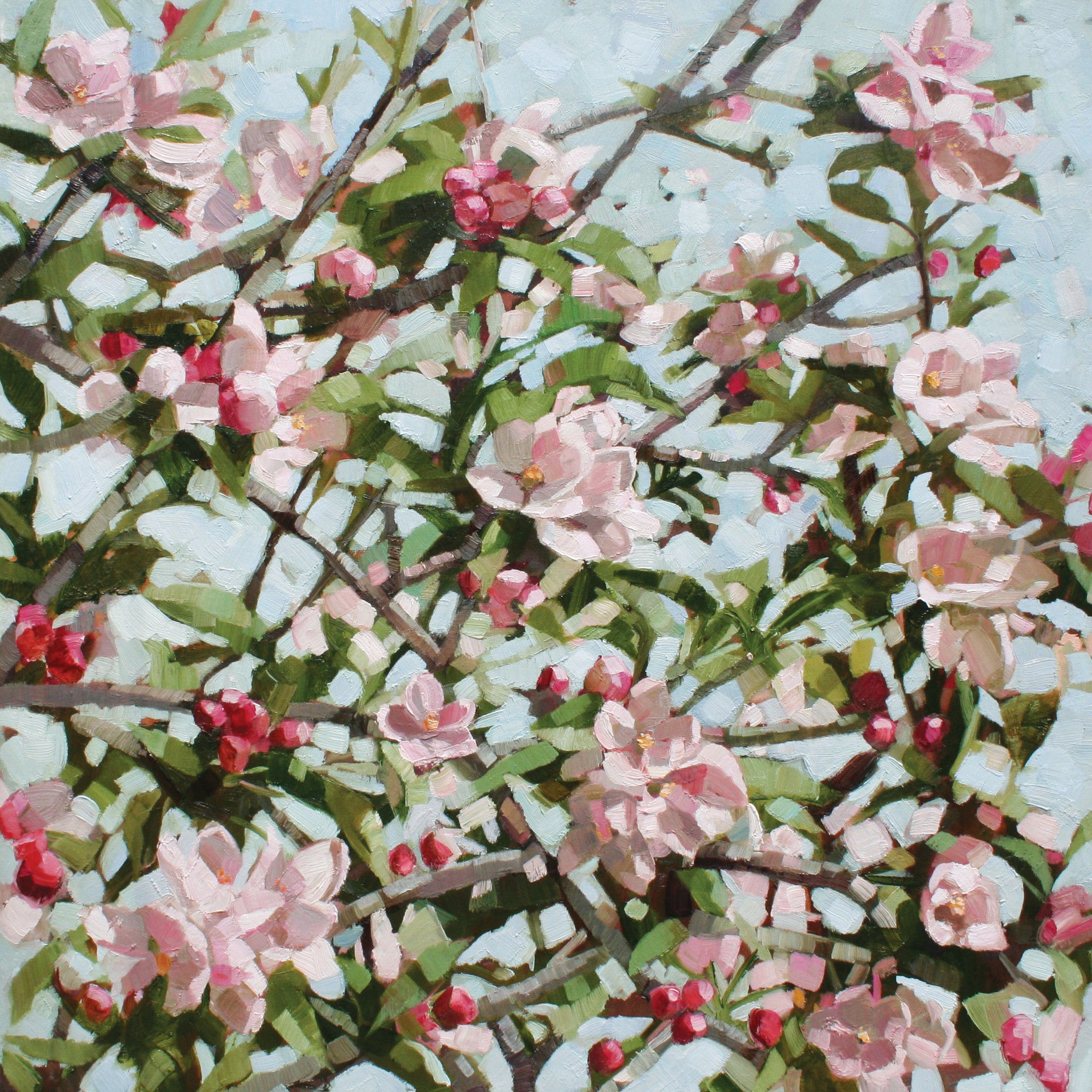 Apple Blossom by Anne-Marie Butlin, Fine Art Greeting Card, Oil on Canvas, Apple blossom