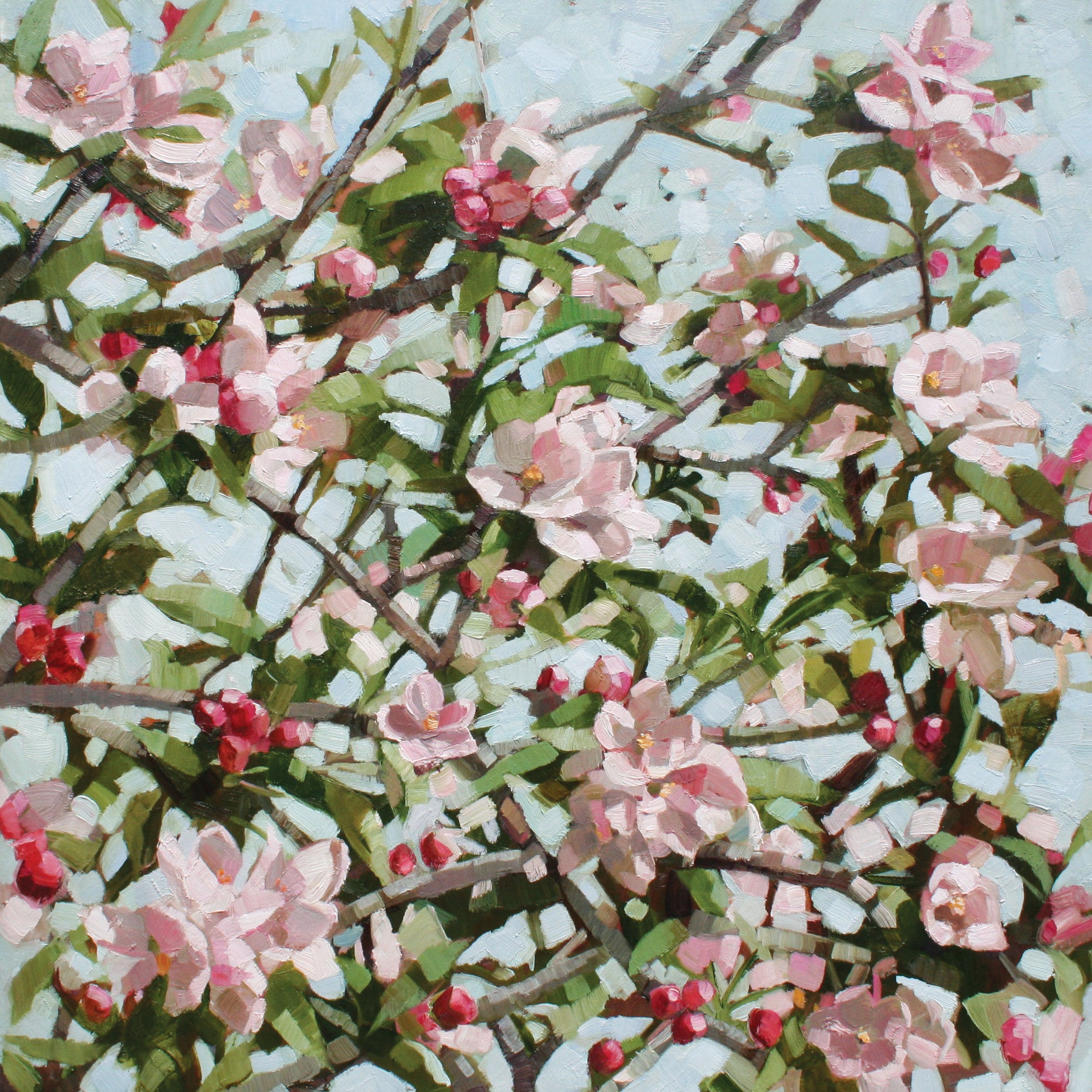Z_015 Apple Blossom -  1xNotecard Pack