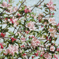 Apple Blossom by Anne-Marie Butlin, Fine Art Greeting Card, Oil on Canvas, Apple blossom