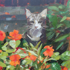 Blank art notecard pack by Anne-Marie Butlin, Louie in the Nasturtiums