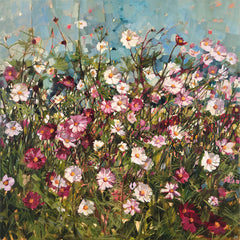 Mass of pink and white Cosmos flowers.