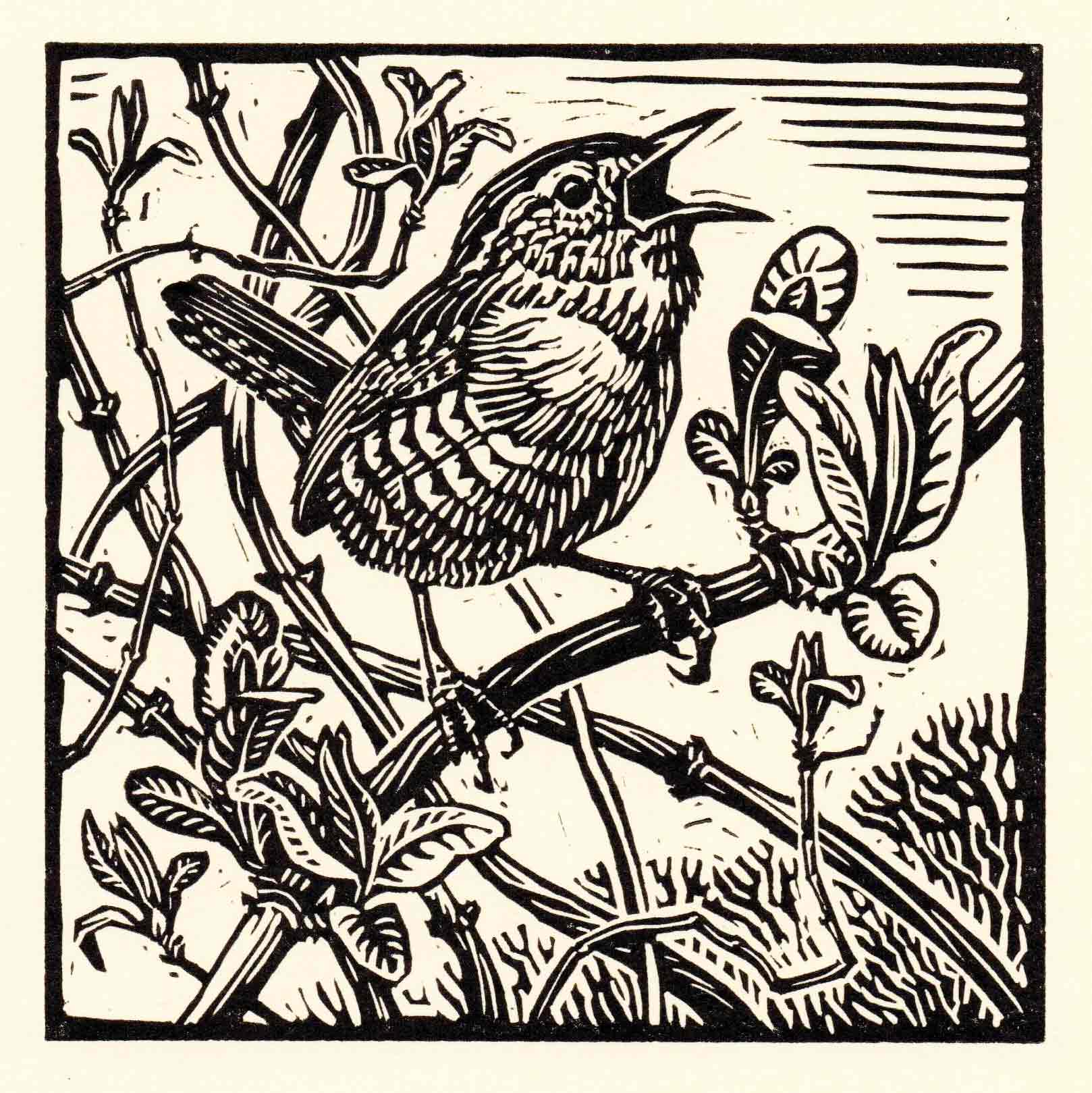 Art Greeting Card by Richard Allen, Wren, Linocut, Wren singing on branch