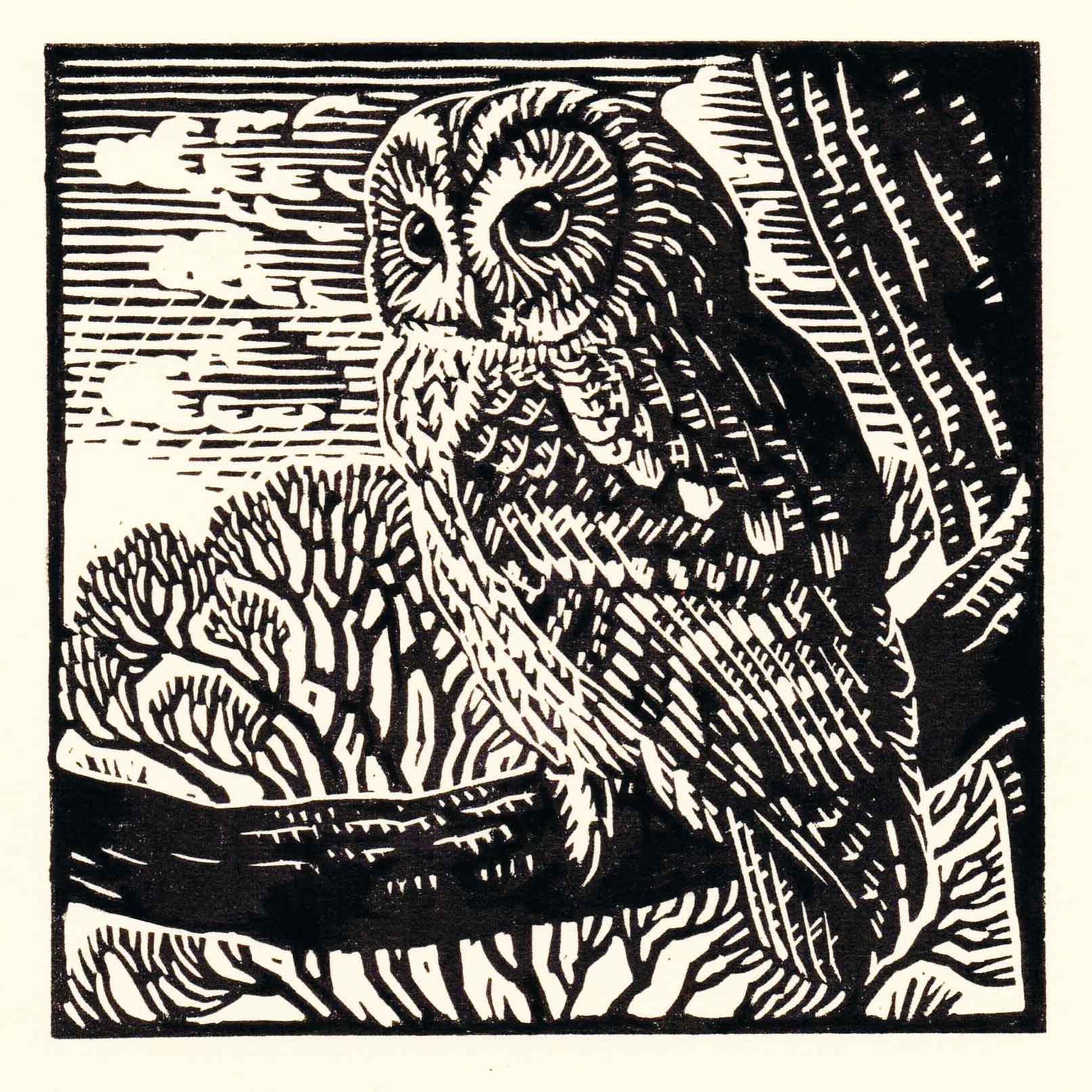 Art Greeting Card by Richard Allen, Linocut, Tawny owl on branch
