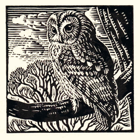 Art Greeting Card by Richard Allen, Linocut, Tawny owl on branch