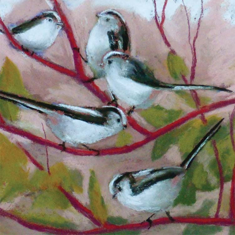Fine Art Greeting Cards, Pastel, Birds, Long Tailed Tits