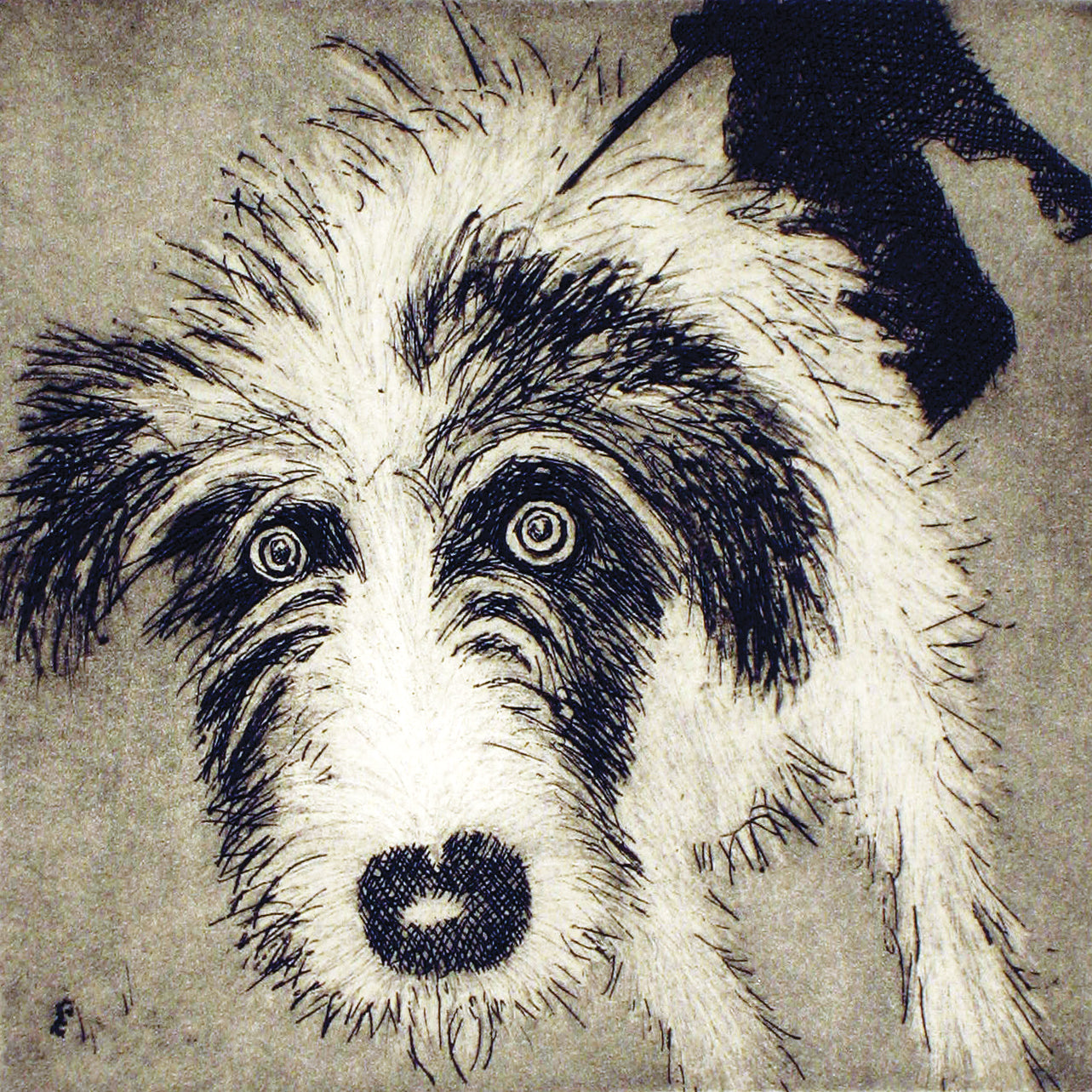 Walkies by Susie Perring, Art Greeting Card, Aquatint, Dog on lead with staring eyes