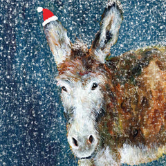 XJH06 Clive - Christmas pack